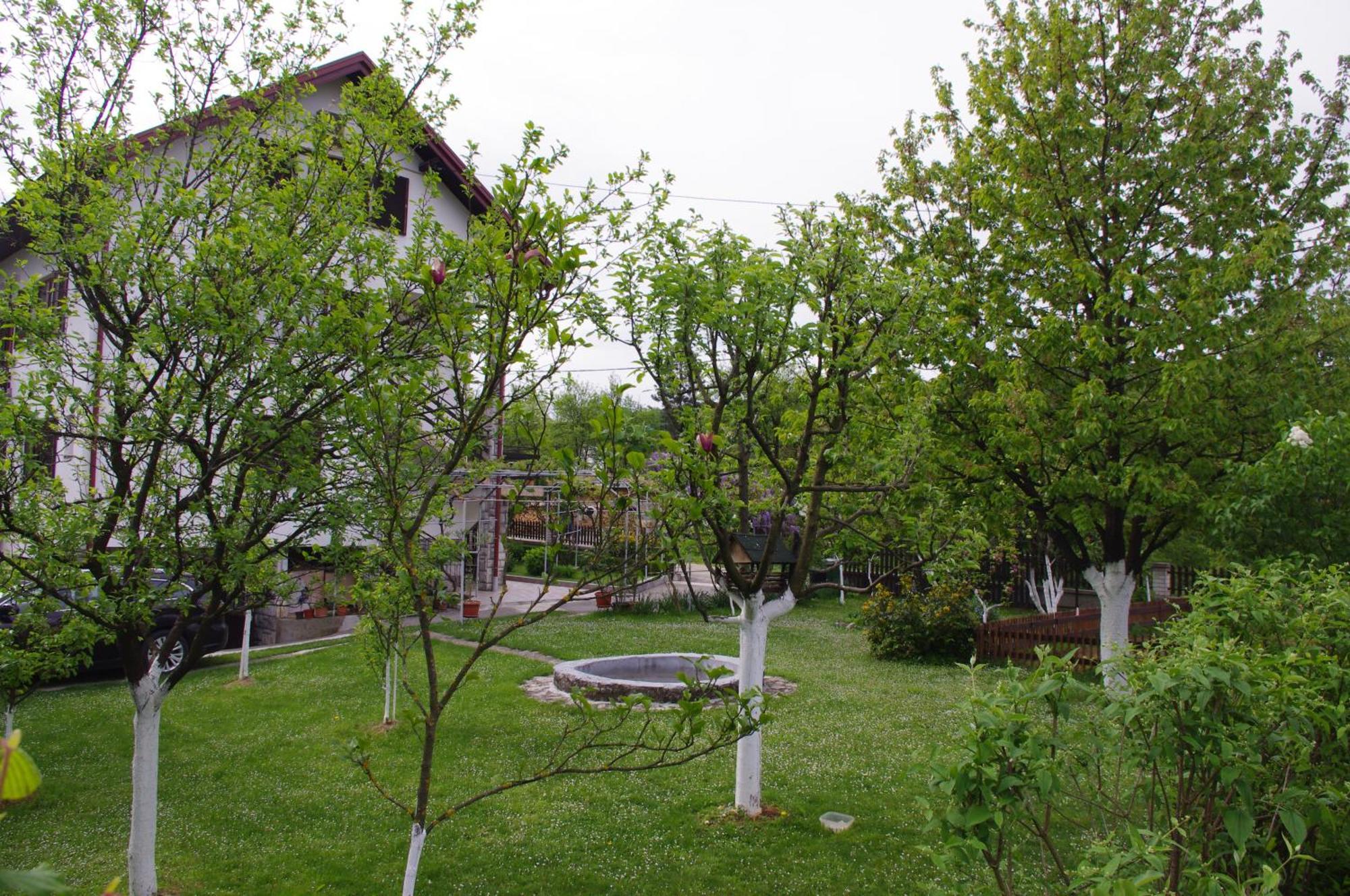 Apartment Tomy Slunj Dış mekan fotoğraf