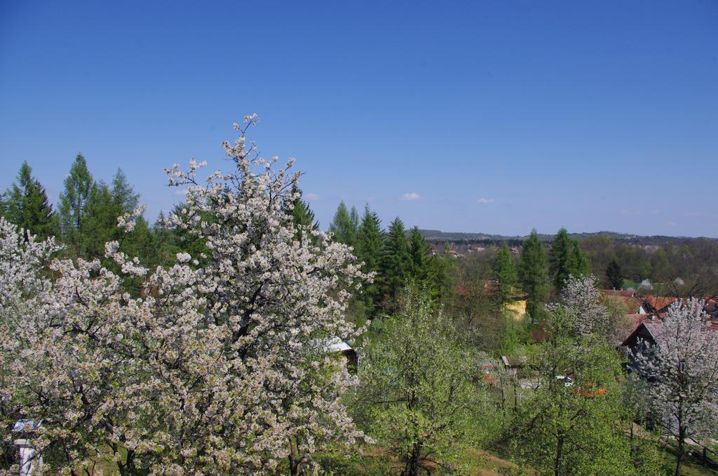 Apartment Tomy Slunj Dış mekan fotoğraf